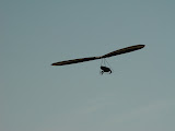 DSC07198.JPG
