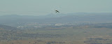 DSC07230.JPG