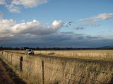 P4120036.JPG