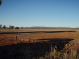 P5020023.JPG