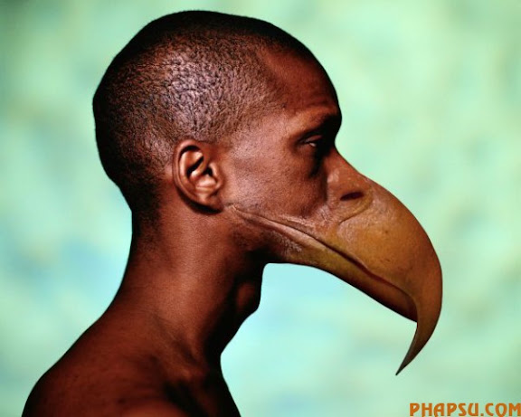 photoshop_01.jpg