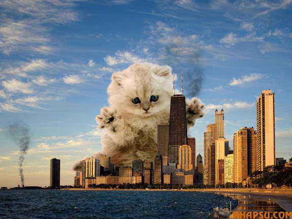 photoshop_16.jpg