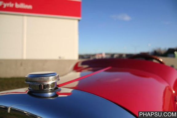 donald_duck_car_06.jpg