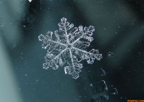 Những bông tuyết tuyệt đẹp 