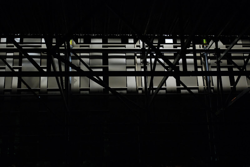 bienal 1
