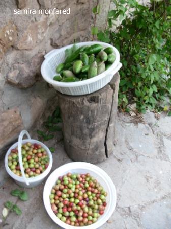 دربندسر-افطاری 