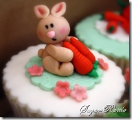 IMG_7530 IMG_7530