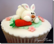 IMG_7536 IMG_7536