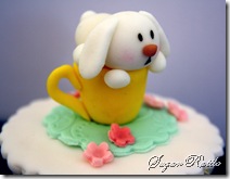 IMG_7538 IMG_7538