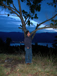 Singkarak Lake