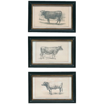 [Cow Prints[1][5].jpg]