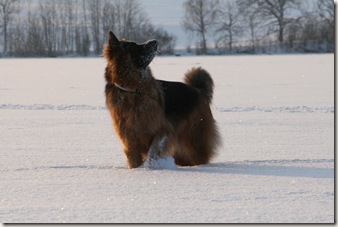 IMG_1812 IMG_1812