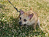 20080621MyBoys_03.jpg