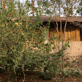 DSC00785.JPG