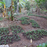 DSC00593.JPG