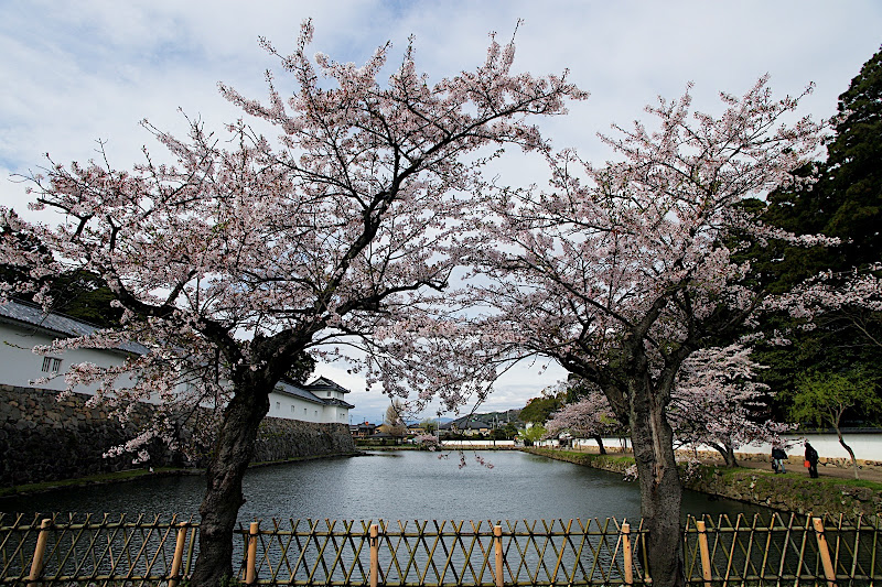 日本旅遊part2