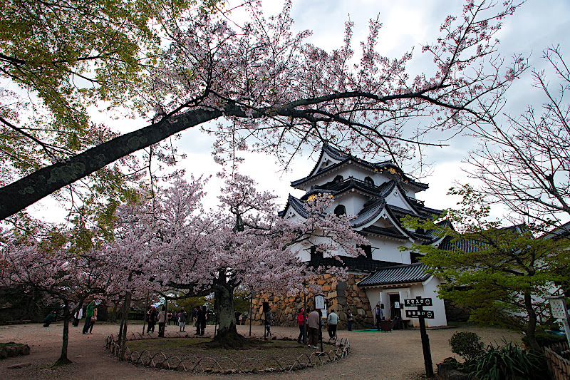 日本旅遊part2