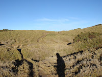 DSC08341.JPG