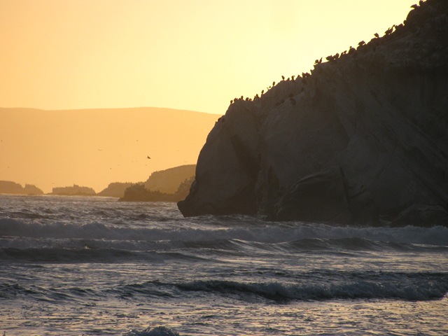 [pismo -July 22 09 036[2].jpg]