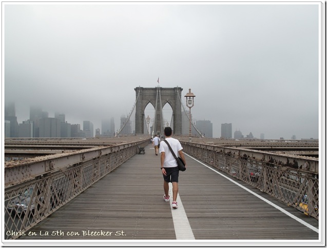 ny7 ny7