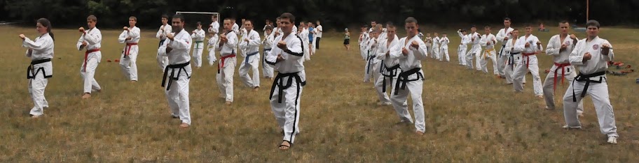taekwondo