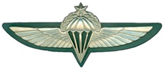 IDF Paratrooper Wings-Sheva Apelbaum IDF Paratrooper Wings-Sheva Apelbaum
