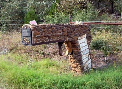 Gun Gun box