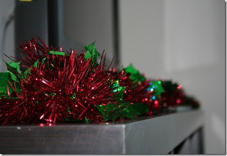 IMG_1596 IMG_1596