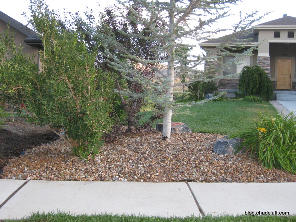 [Yard Rock 001[2].jpg]