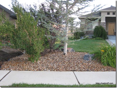 Yard Rock 001