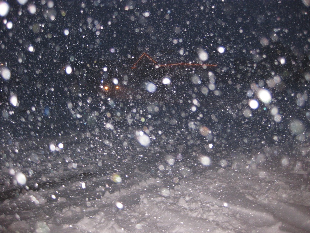 [Snowy Winter Day 006[3].jpg]