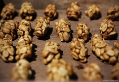 hasil_fermentasi_kopi_luwak