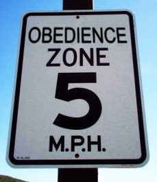 [rmdn_obedience_zone[9].jpg]