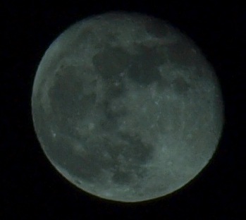 [P1120489[3].jpg]
