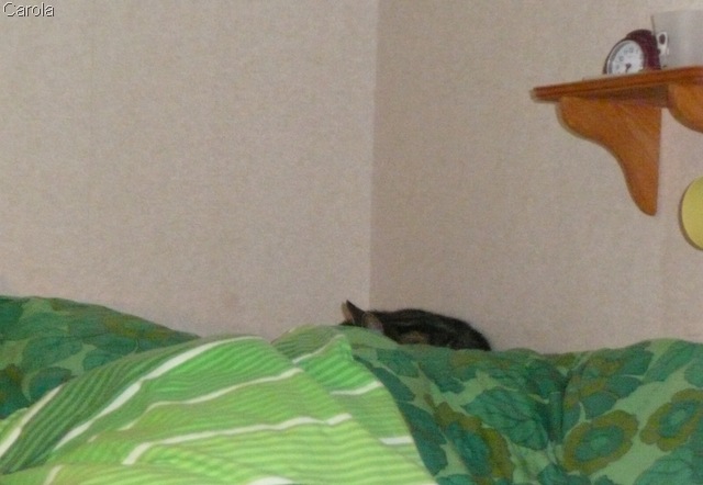 [vån.säng2[5].jpg]