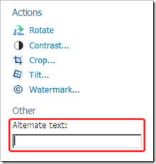 alt (alternate) tag text box