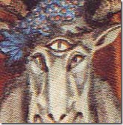 eye eye