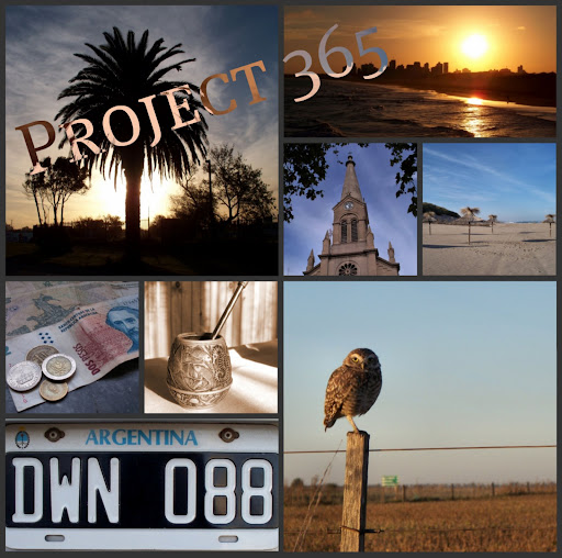 Project 365
