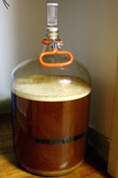 Homebrew fermenting in carboy