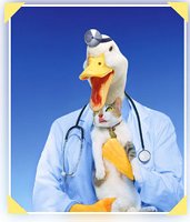 Duck as quack doctor