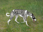 DSCN0671.JPG
