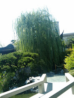 2009-08-27 14.56.48.jpg