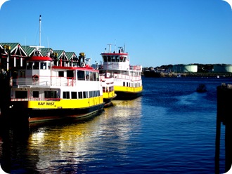 IMG_6165ps
