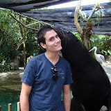 Singapore - Zoo