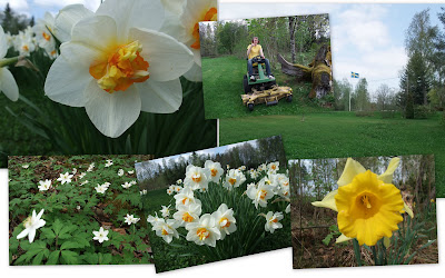 2010_0519vårfoton.jpg