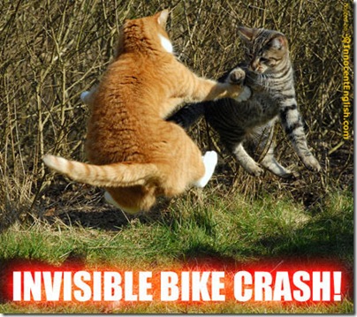 funny-cats-invisble-bike-crash