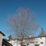 IMG_8192.JPG