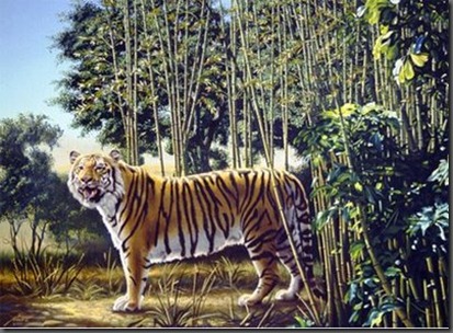 hidden-tiger