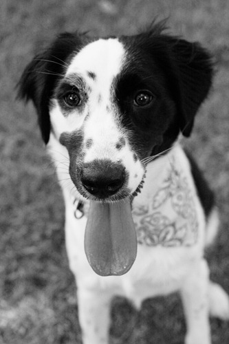 IMG_0954bw