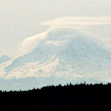 118_771346030001.JPG